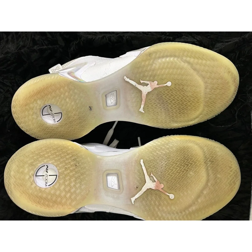 Nike Air Jordan XXXVI 36 Low Pure‎ Money Mens Sz 15 White Silver DH0833-101